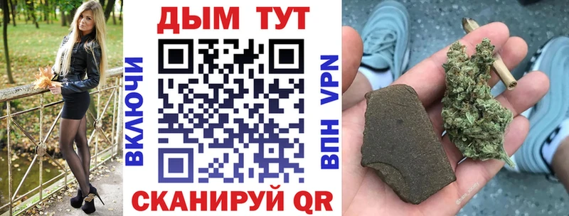 Шишки марихуана сатива  Пролетарск 